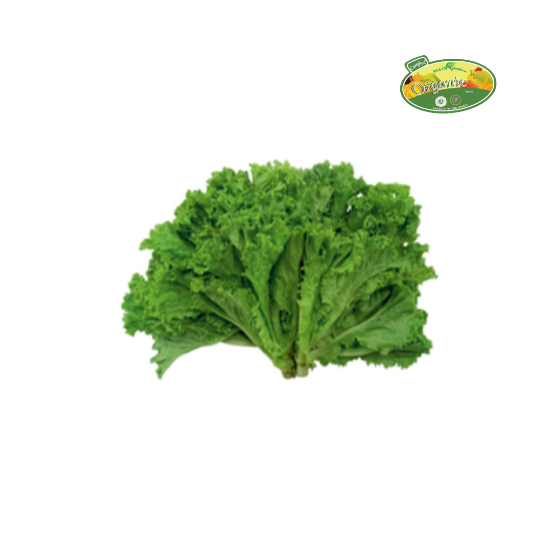 S&R Organic Green Ice Lettuce approx 200g